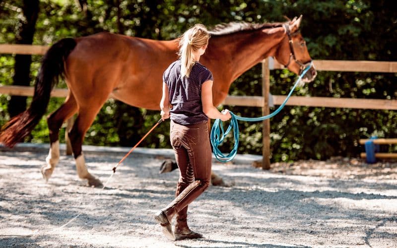 Rond Accueil | Cross Target