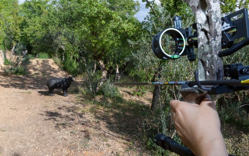 15 Galerie | Cross Target