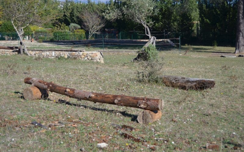 5 Galerie | Cross Target