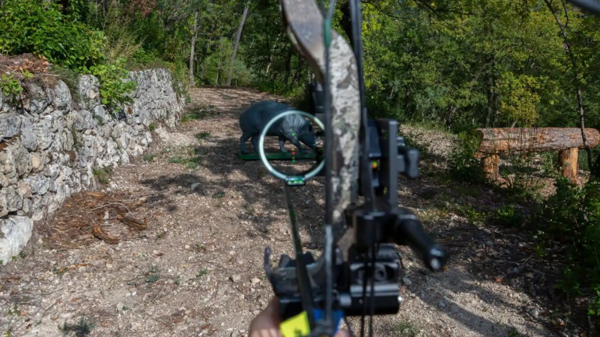 Accueil | Cross Target