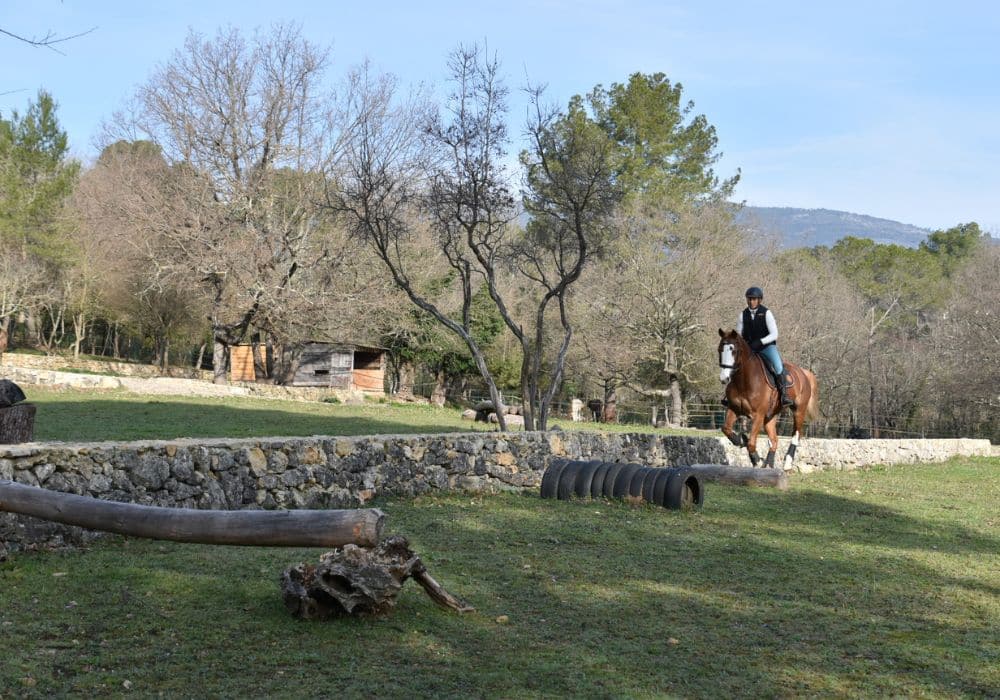 The Mask du Vercol et Sabrina Marriottini à Cross Target à Fayence 83 (21) Galerie | Cross Target