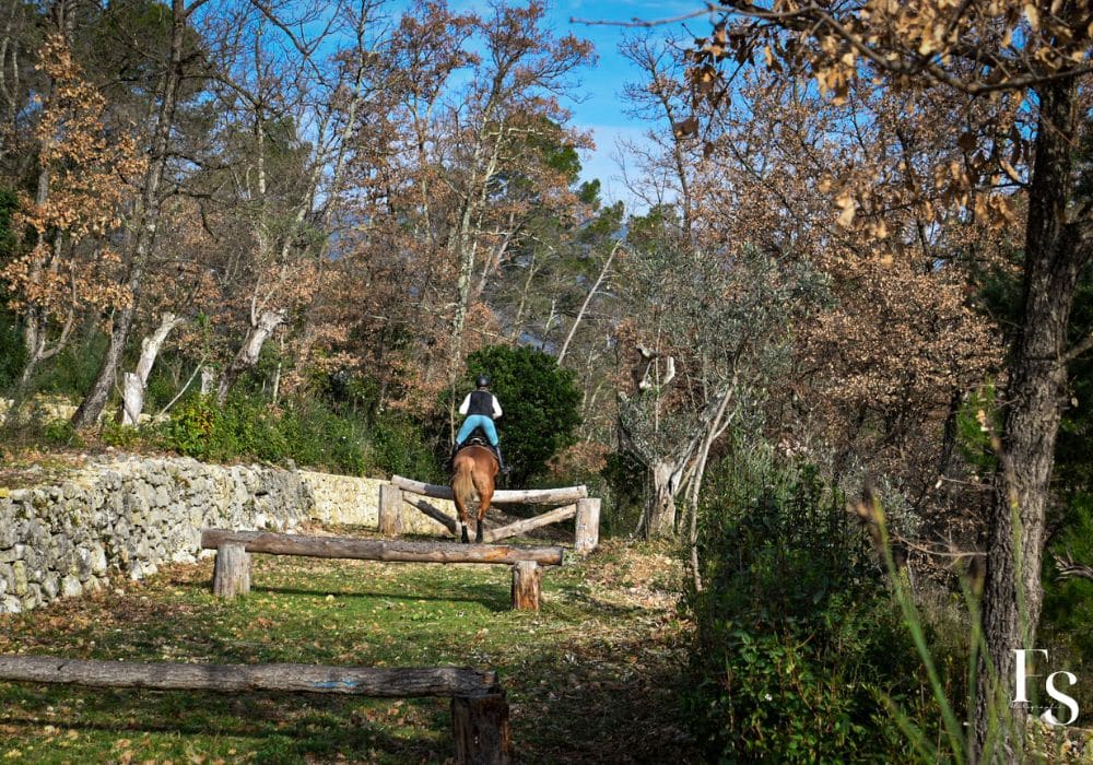 The Mask du Vercol et Sabrina Marriottini à Cross Target à Fayence 83 (6) Galerie | Cross Target