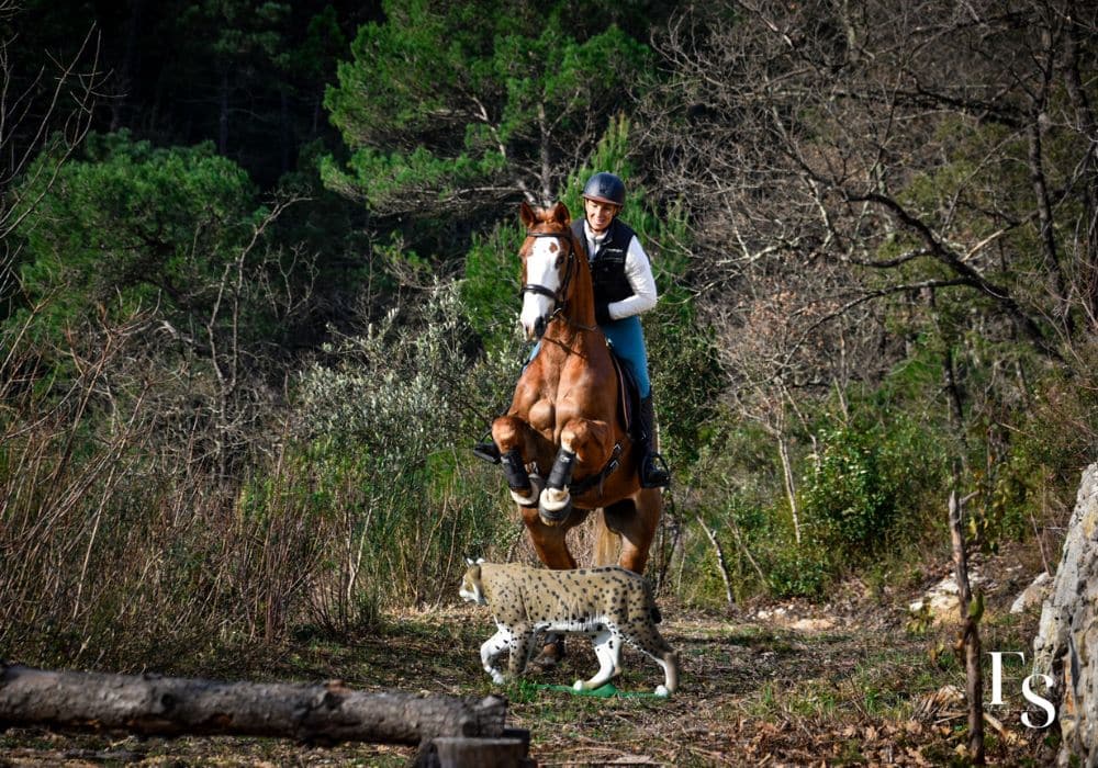 The Mask du Vercol et Sabrina Marriottini à Cross Target à Fayence 83 Galerie | Cross Target